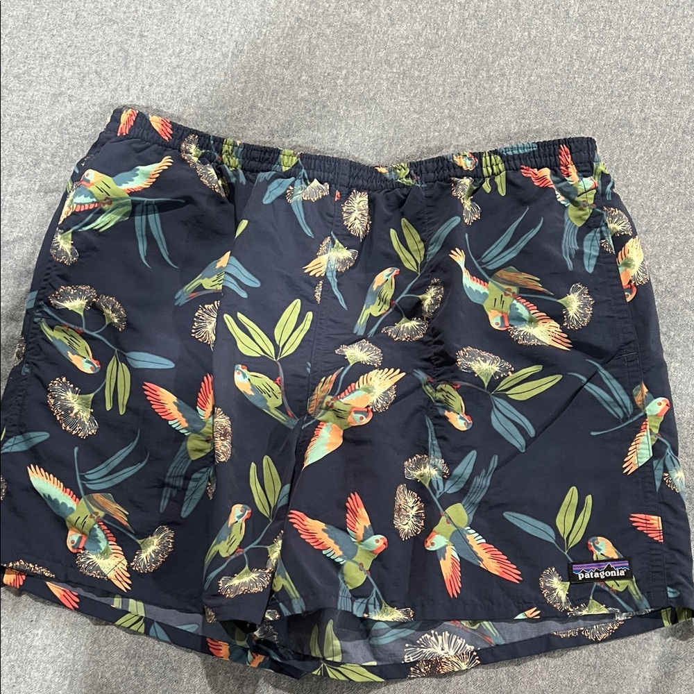 Patagonia Men’s Swim